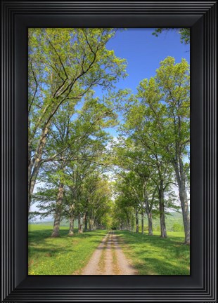 Framed Mohonk II Print