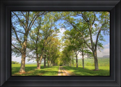 Framed Mohonk III Print