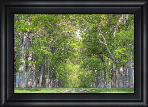 Framed Mohonk IV Print