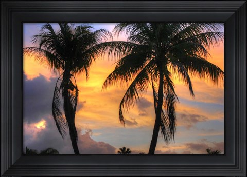 Framed Key West Two Palm Sunrise Print