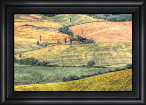 Framed Tuscan Field Patterns Print