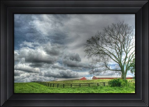 Framed Paddock Storm Print