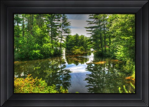 Framed Pond and Pines Print