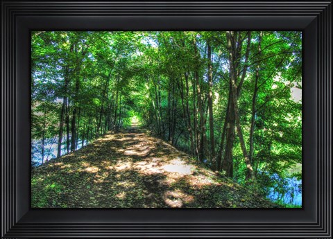 Framed Railtrail Viaduct Print