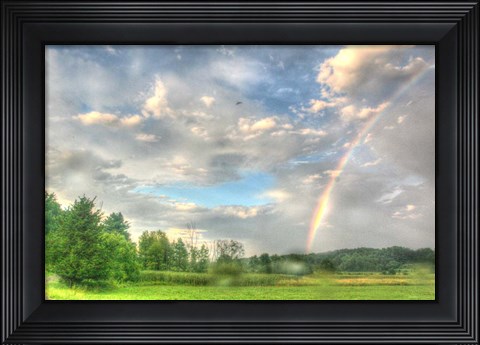 Framed Rainbow and Heron Print