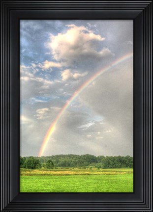 Framed Rainbow Vertical Print