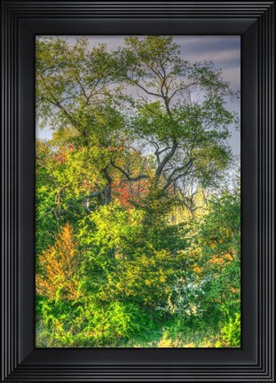 Framed Spring Trees Vertical Print