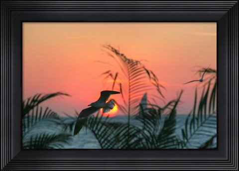 Framed Sunset Gull and Fronds Print