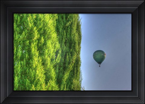 Framed Tuscan Cedar and Balloon Print