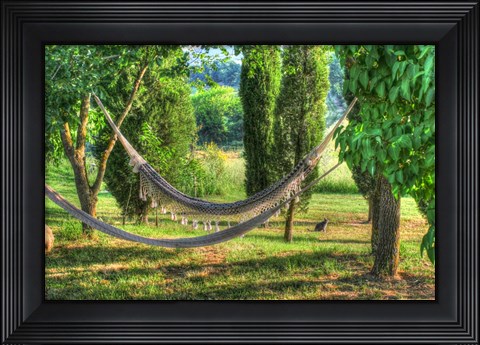 Framed Tuscan Hammocks and Cat Print