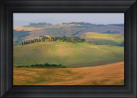 Framed Tuscan Hill Sheep Print