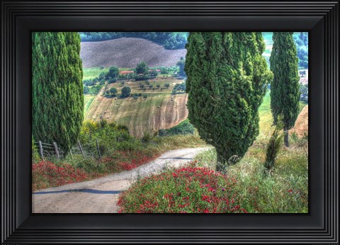 Framed Tuscan Red Flower Road Print