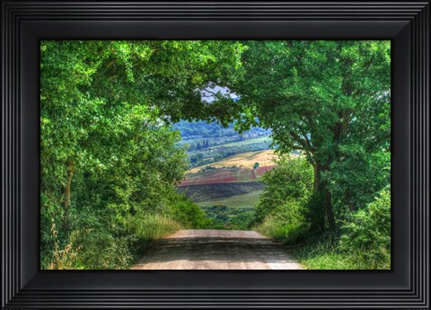 Framed Tuscan Tree Tunnel Print