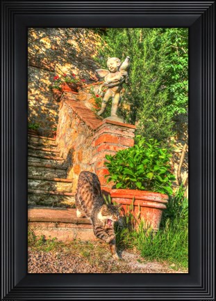Framed Tuscan Vertical Cat on Stairs Print