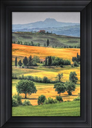 Framed Tuscan Vertical Switchbacks Print