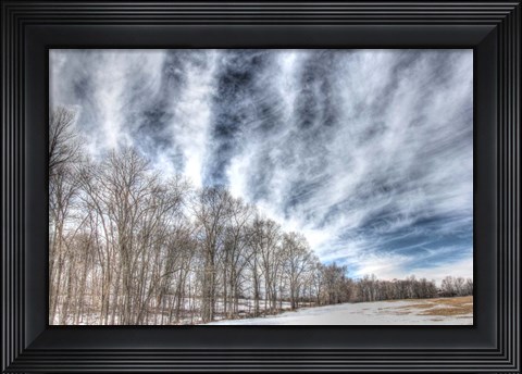 Framed Winter Treeline Print