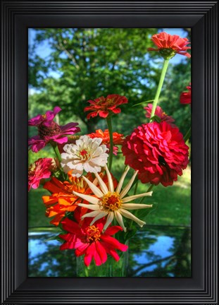 Framed Zinnia Bouquet Print