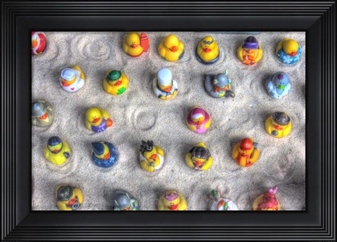 Framed Rubber Duckies from Above Print