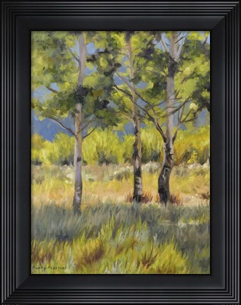Framed Aspens Print