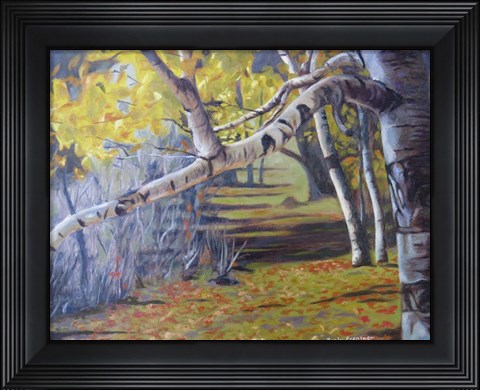 Framed Hidden Lake Treasures Print