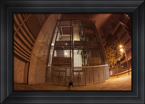 Framed Syc Aloneii Print