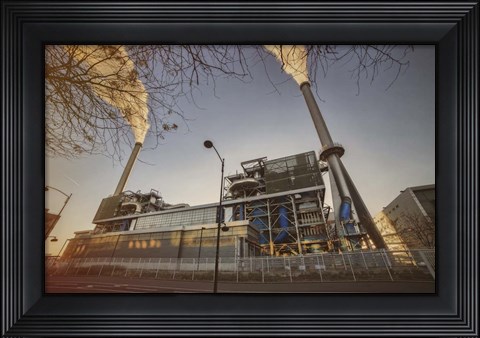 Framed Syctom Dec Print