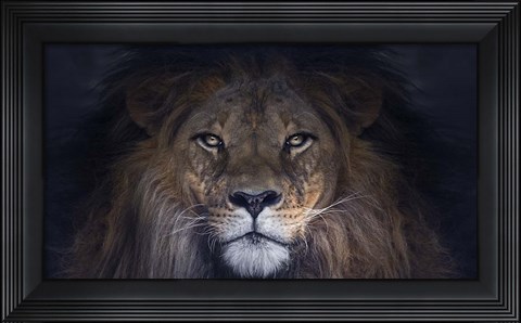 Framed Leo Print