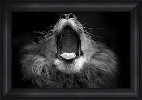 Framed Mujambi Print