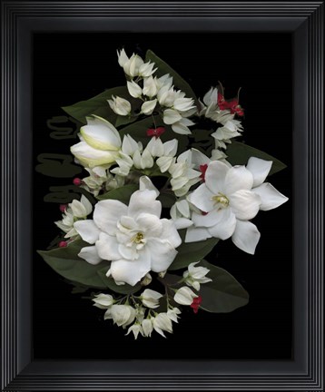 Framed Bleeding Hearts &amp; Gardenia Print