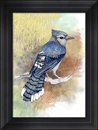 Framed Early Morning Jay Print