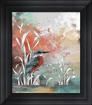 Framed Kingfisher Print