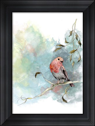 Framed Robin&#39;s Winter Print