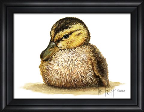 Framed Duckling Print