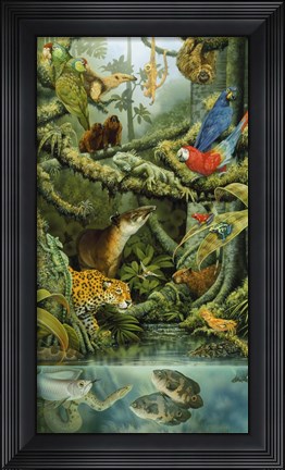 Framed Rainforest Print