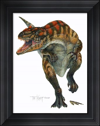 Framed Allosaurus Print