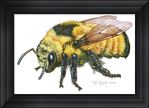 Framed Bumble Bee Print