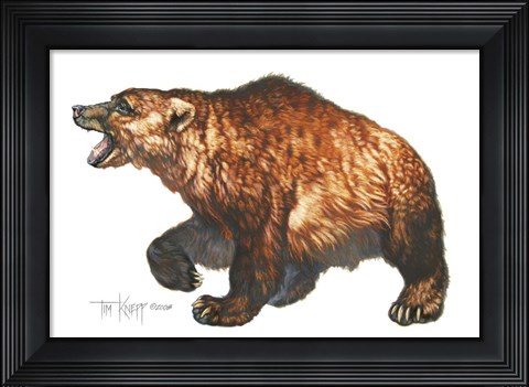 Framed Cave Bear Print