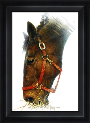 Framed Equestian Print