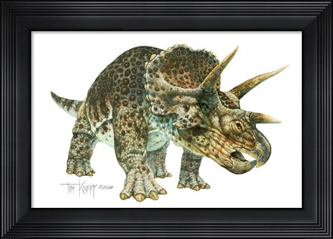 Framed Triceratops Print