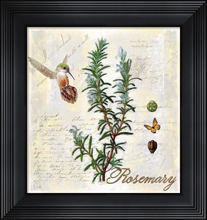 Framed Rosemary Herb Print