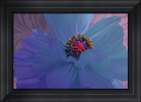 Framed Afterglow Print