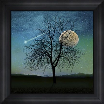 Framed Solitude Print