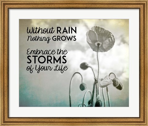 Framed Without Rain Nothing Grows Black and White Print