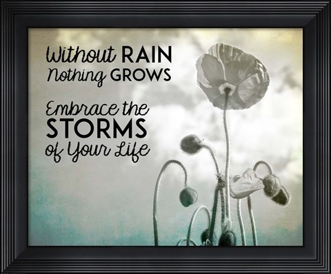 Framed Without Rain Nothing Grows Black and White Print