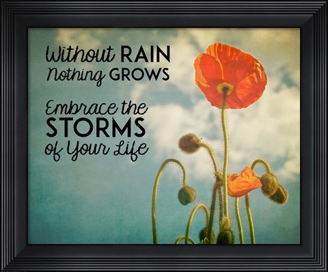 Framed Without Rain Nothing Grows Color Print