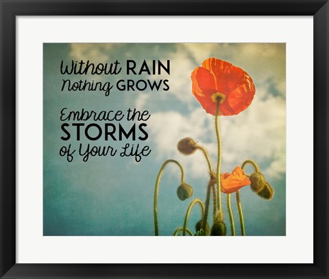 Framed Without Rain Nothing Grows Color Print