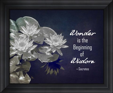 Framed Wonder is the Beginning of Wisdom Water Lily Black and White Print