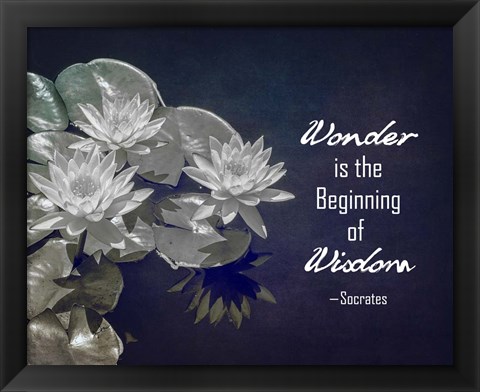 Framed Wonder is the Beginning of Wisdom Water Lily Black and White Print