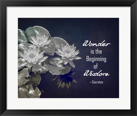 Framed Wonder is the Beginning of Wisdom Water Lily Black and White Print