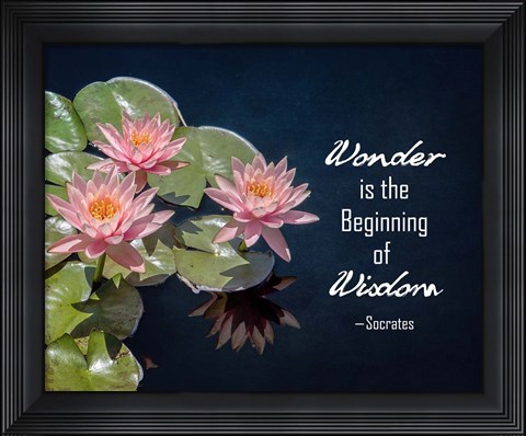 Framed Wonder is the Beginning of Wisdom Water Lily Color Print